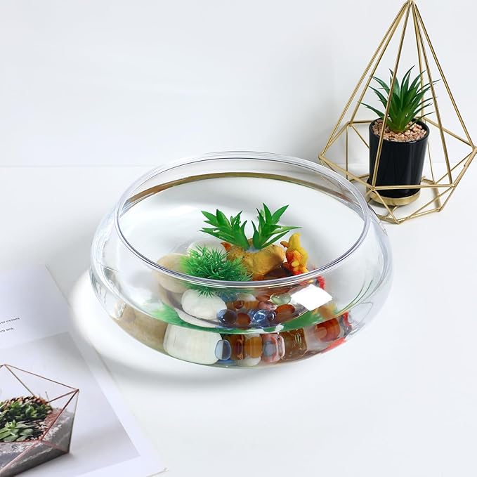 NOLITOY Clear Fish Bowl Vase, Fish Tank Aquarium Bubble Round Shallow Planter Aquatic Plant Pot for Office Desktop Decorative