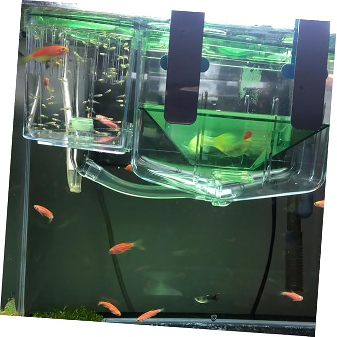 Generic Self-Guided Fish Breeding Tank Transparent Hatching Box for Aquarium Isolation Box for Newborn and Pregnant Fish Survival Rates and Protects from Predators
