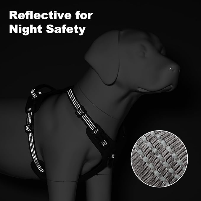 No Pull Dog Harness – Adjustable Reflective Nylon Vest for Small Medium Large Dogs, Escape Proof Training Harness with Leather Control Handle, Lightweight Aluminum Hardware (Cyan, L)