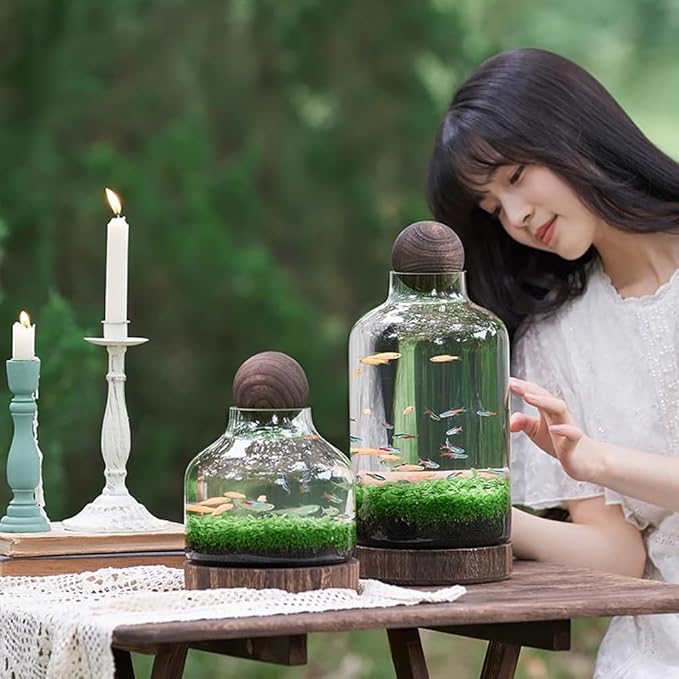Glass Aquarium, Miniature Landscape Terrarium Glass Fish Tank with Wooden Base, Modern Betta Fish Tank, Small Aquarium for Home and Office Decoration,L
