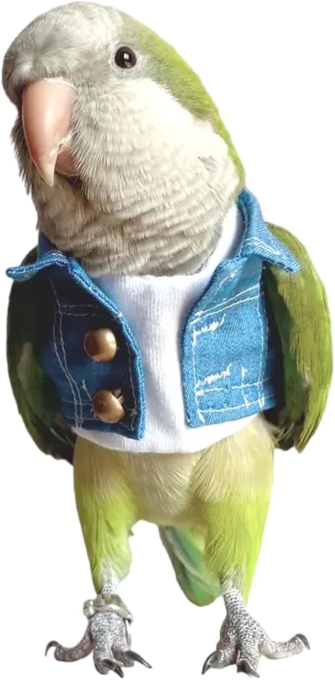 Bird Costume Bird Diaper Flight Suit Bird Jeans Fake Two Pieces Bird Clothes Cosplay Photo Prop for Parrots Lovebird Parakeet Cockatiel Small Animals Apparel (with Diaper,Crested Myna)