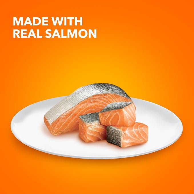 IAMS Perfect Portions Healthy Adult Grain Free Wet Cat Food Pate,Salmon Recipe,2.6 oz. Easy Peel Twin-Pack Trays (,48 Servings),24 Count (Pack of 2)