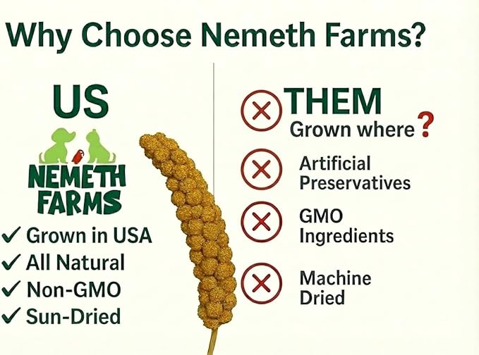 Nemeth Farms–Natural Sun Dried Millet Spray for Pet Birds–Bulk Parrot Seed Treats and Parrot Food–Natural Non GMO Millet Spray–Cockatiels Lovebirds Parakeet 2 lbs.