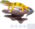 Mushroom Decor for Reptile Tank, Fish Tank, Pet-Safe Bearded Dragon Tank Accessories, Realistic Terrarium Plants for Leopard Geckos, Crested Geckos, Tree Frogs, Snakes (Cocoa, Trio Cap)