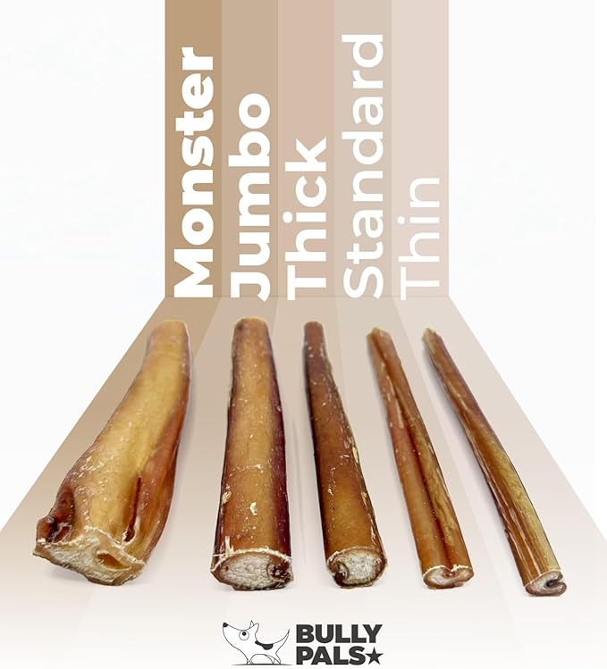 12 inch Thick Bully Sticks for Medium to Large Dogs - 10 Pack - Long Lasting, All Natural, Single Ingredient, Easily Digestible, Beef Dog Treats and Rawhide Free Dental Chews for Dogs