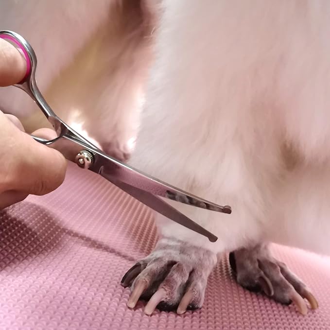 Dog Grooming Scissors with Safety Round Tips Stainless Steel Professional Dog Grooming Kit - Thinning, Curved Scissors and Comb for Cat Pet (Pink 4 in 1)