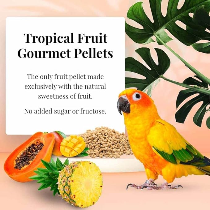 LAFEBER'S Tropical Fruit Gourmet Pellets Pet Bird Food, No Added Sugar, Made with Non-GMO and Human-Grade Ingredients for Conures (1.25 Ib Pack of 2)