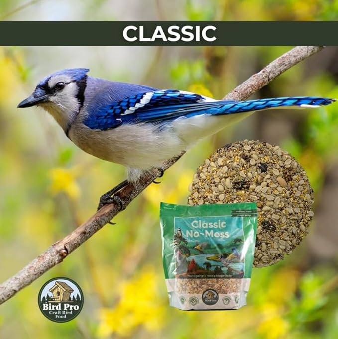 Classic Bird Seed (5 Pounds, Classic No Mess)