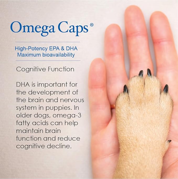 Omega Caps HP Snip Tips for Cats and Small Dogs High Potency EPA and DHA Maximum Bioavailability Fish Oil Supplement Vet Formulated Made in USA Skin Coat Joint and Heart Health 250 Capsules