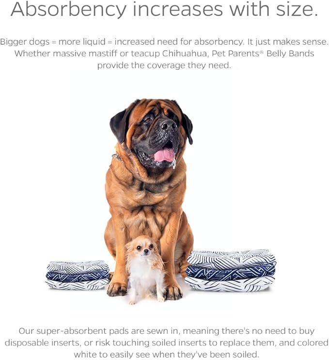 Pet Parents® Washable Belly Bands for Male Dogs (3pack) + Extendrs® of Durable Dog Diapers Male, Premium Male Dog Diapers & Dog Wraps (Small, Kahuna)