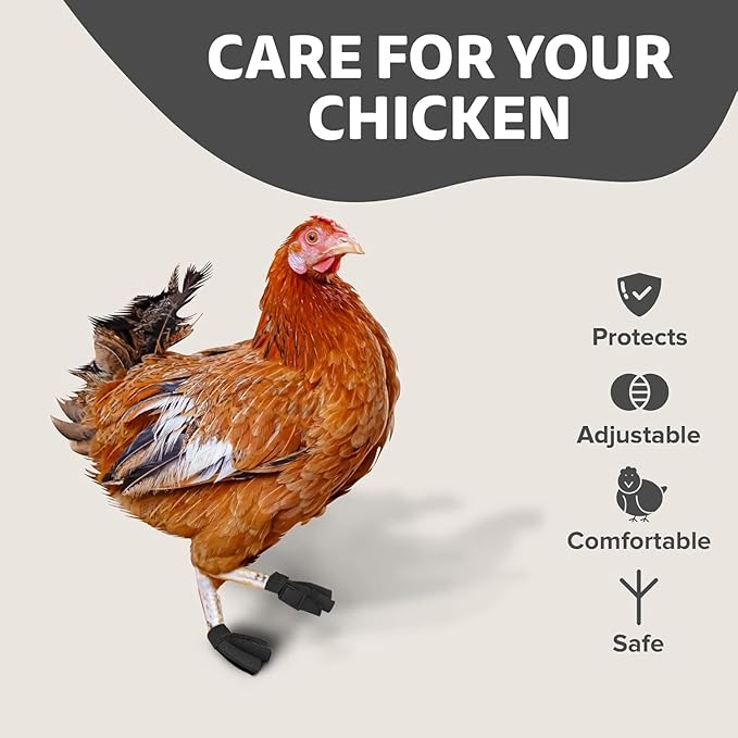 Chicken Shoes for Injured Feet – Protective Neoprene Footwear for Chicken, Open-Toe Design for Bumblefoot Relief, Made in USA (Chicken Shoes, Gray, Medium Chickens)