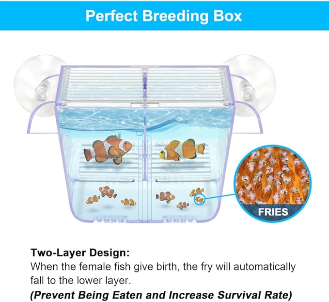 Fish Breeding Box Aquarium Holding Tank Transparent Fish Isolation Box Acclimation Hatchery Incubator Breeder for Betta Shrimp Clownfish Guppy Small