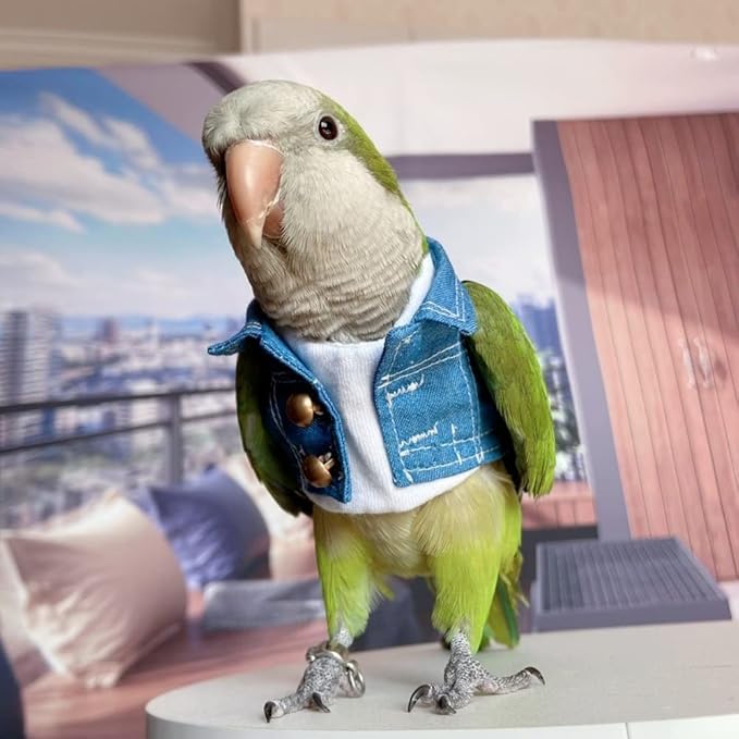 Bird Costume Bird Diaper Flight Suit Bird Jeans Fake Two Pieces Bird Clothes Cosplay Photo Prop for Parrots Lovebird Parakeet Cockatiel Small Animals Apparel (Without Diaper,Lorikeet)
