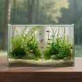 10 Gallon Glass Fish Tank Open-Back Lid, Aquarium Fish Bowl Cube for Betta Goldfish Snails Shrimp Aquatic Planting, Ultra Clear Rimless Low Iron