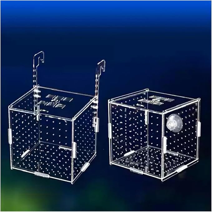 Transparent Acrylic Aquarium Isolation Box - Single & Double Grid Fry Breeding Tank for Fish Hatcheries(Sucker)