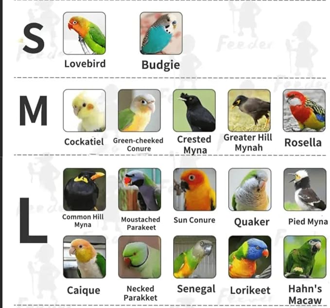 Bird Flight Suits Diapers, Parrot Diapers for Monk Parakeets, Cockatiels, Parrot Clothes Costume, Bird Training Nappy Suit Liners Clothes (Small,Light Pink)