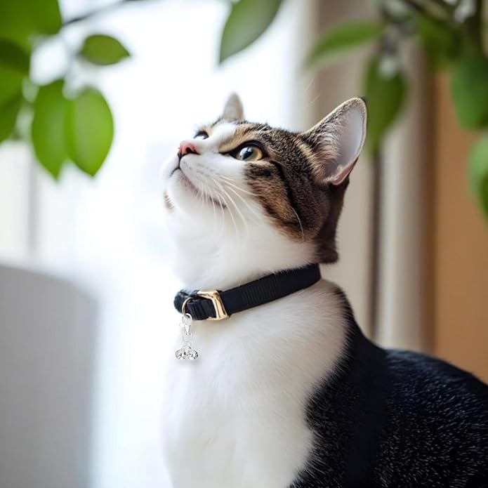 2 Pcs Mini Dog Collar Bells, Cat Bell, Silver Pet Pendant Accessories for Training, Loud Charms for Dogs and Cats
