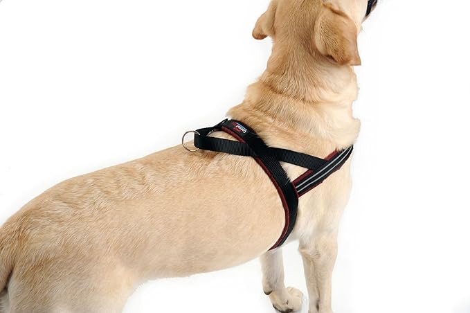 ComfortFlex Sport Dog Harness – No-Choke, Fully Padded, Non-Chafing Harness with Control Handle – Reflective, Lightweight, Adjustable for Active Dogs - Small, Saffron Yellow