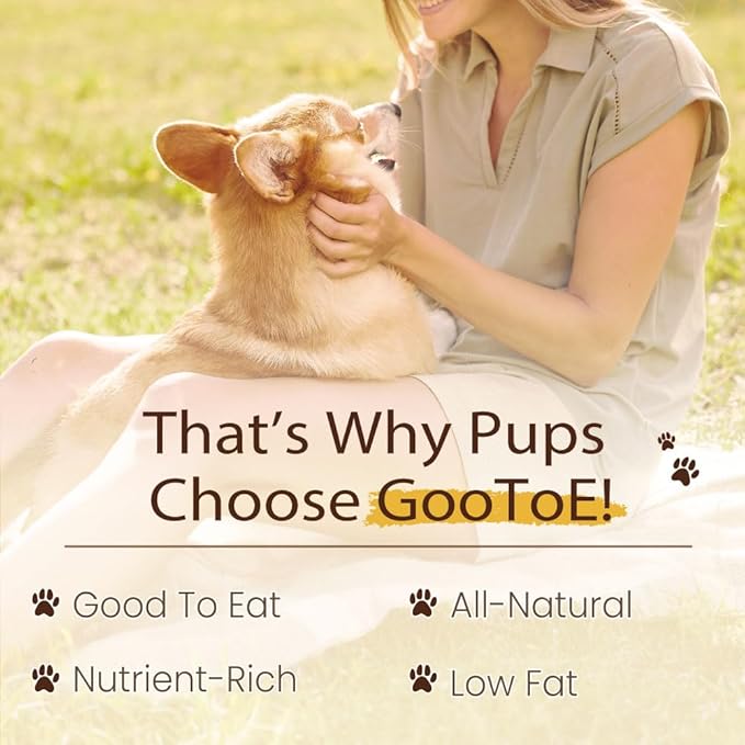 Gootoe Dog Treats, All Natural, Low Fat, Premium Training Chews, Healthy & Easily Digestible, Treat and Train, Chicken Breast Wrapped Salmon Sticks, 1.5lb