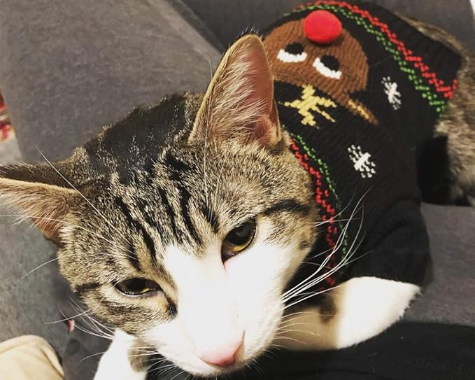 Cat Sweater Christmas Santa Claus Pet Cat Winter Knitwear Warm Clothes X-Small