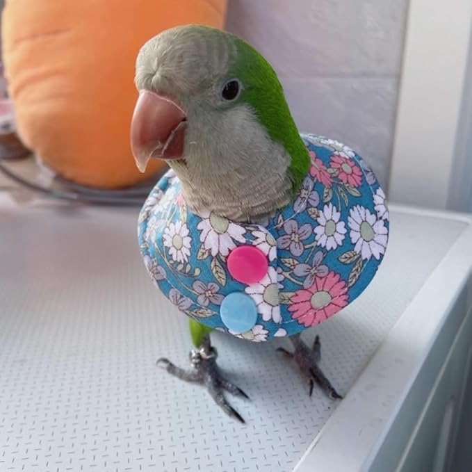 Bird Collar - Anti-Bite Elizabethan Recovery Cone Feather Plucking Protector Skin-Friendly Neckwear for Parakeets Conures Cockatiels Lovebirds Budgies Cockatoos African Grey Random Color (2M)