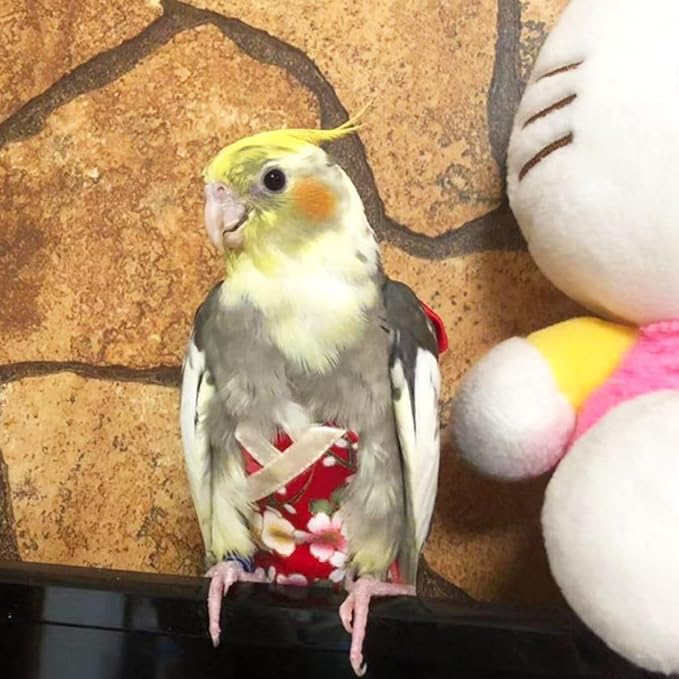 Bird Flight Suits Diapers, Parrot Flight Suits Diapers for Quaker Parakeets Cockatiels Flight Suits, Parrot Clothes (Almond B,XL)