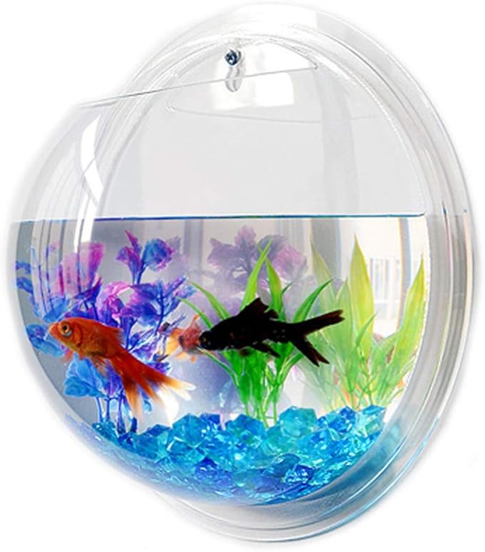 Alipis Wall Mounted Acrylic Fish Tank 6 Inch Hanging Fish Bowl Transparent Aquarium for Home Decor Living Room Plant Terrarium Style