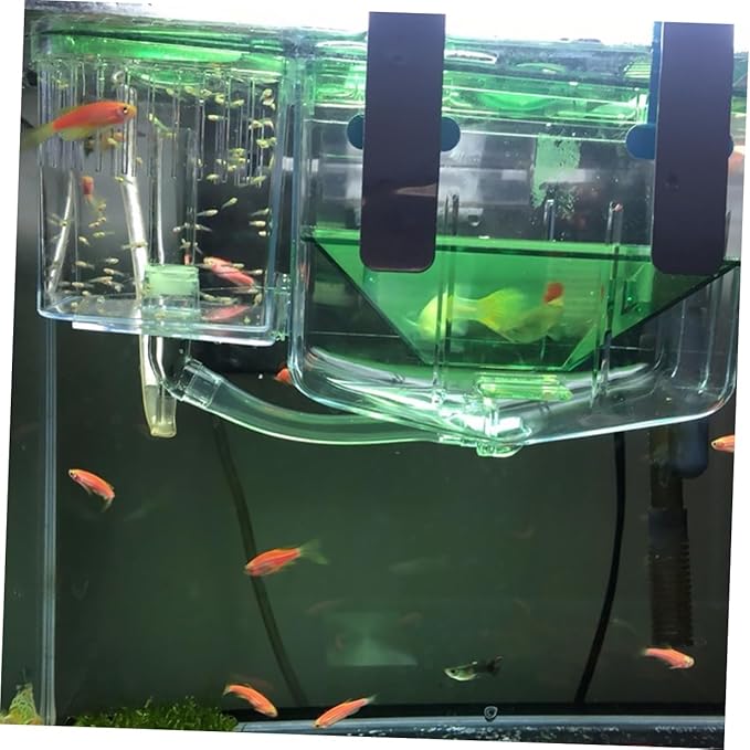 BESPORTBLE 3pcs Self-Guided Fish Breeding Tank Isolation Box for Fry Newborns Safe Hatching Incubator for Aquarium Construction