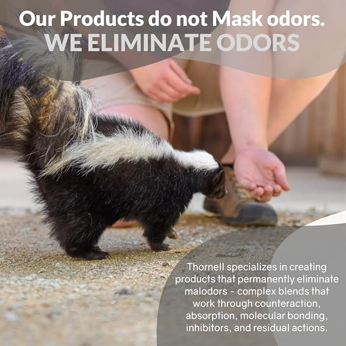 Odorcide Skunk Off Skunk Odor Eliminator Premise Spray – Ready-to-Use Skunk Odor Remover for House, Outdoors, Cars, Laundry, & More – Skunk Spray w/Safe, Non-Enzymatic Formula (1 Gallon)