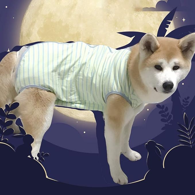 Dog’s Recovery Suit Post Surgery Shirt for Female Male Dog, E-Collar Alternative Wound Protective Clothes (Green stripe-4xl)