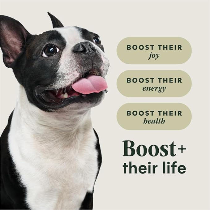 Instinct RawBoost Small Breed, Natural Dry Dog Food with Freeze-Dried Pieces, High Protein, Grain-Free Recipe - Real Beef, 3.5 lb. Bag