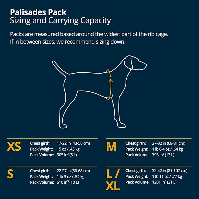 Ruffwear Palisades Dog Backpack, Multi-Day Pack with Removable Saddlebags, Breathable Adjustable Harness, Reflective Trim, Glacier Lake, X-Small