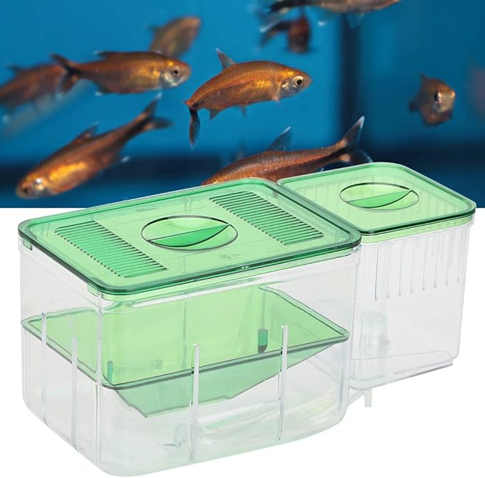 Fish Breeding Box, Transparent Isolation Box Acclimation Hatchery Incubator for Baby Fish Betta Shrimp Clownfish and Guppy