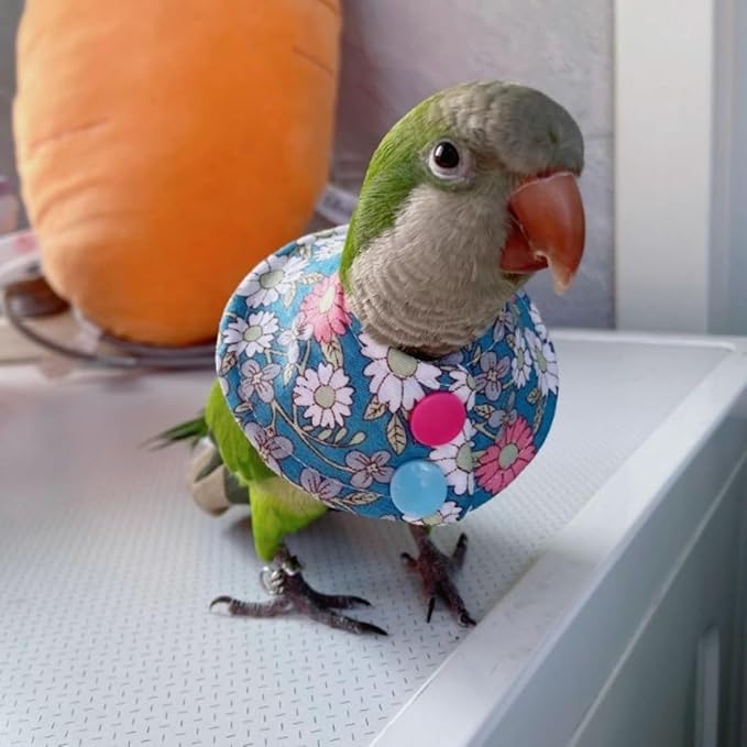 Bird Collar - Anti-Bite Elizabethan Recovery Cone Feather Plucking Protector Skin-Friendly Neckwear for Parakeets Conures Cockatiels Lovebirds Budgies Cockatoos African Grey Random Color (M)