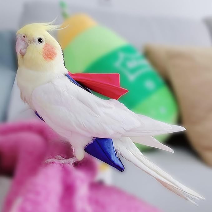 Parrot Flight Suit Diaper (Without Leash) - Reusable Bird Diaper for Budgies, Lovebirds, Cockatiels, and More - Fabric Bird Suit (Blue Superman-S)