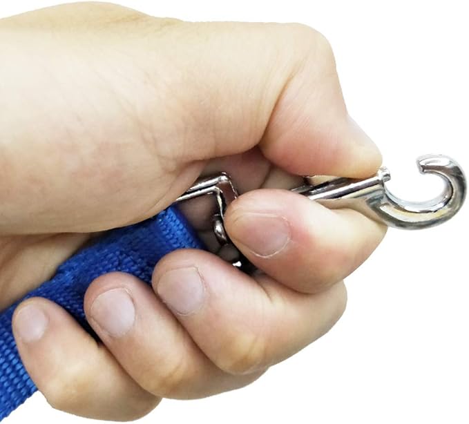 Nylon Training Dog Leash for Small Medium Large Dogs, 15ft 20ft 30ft 50ft Long Leash Dog/Puppy Lead for Obedience Recall Training, Camping (50ft, Blue)