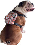 Pawlook Dog Backpack Harness – Street Smart | Waterproof, Adjustable, Breathable – Leash Attachment D-Rings, Poop Bag Pocket – Small & Medium Dogs – 8 Styles Paws Medium