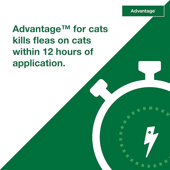 Bundle of Advantage Topical Cat Flea Treatment and Prevention for Large Cats Over 9 lbs. + Advantage Carpet & Upholstery Spot Spray 16 oz.