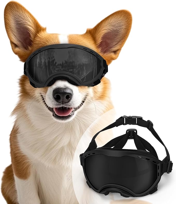 Middle Dog Goggles UV Protection, Dog Sunglasses Transparent Lens, Windproof Anti-Fog Snowproof, for Dogs Eyes Protection,Suitable for Medium-Large Dog Outdoor, Black Box