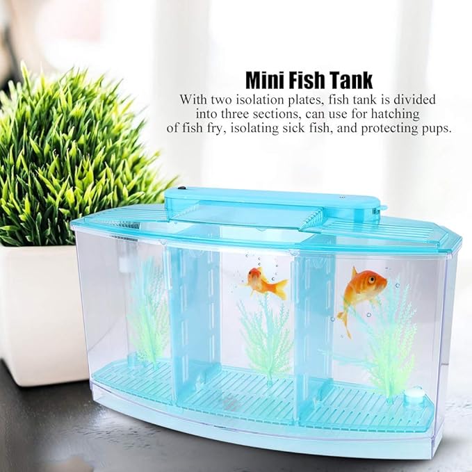 Acrylic Fish,Bowl, Aquarium Fish LED Acrylic Three Divisions Breeding Isolation Box for Small Fishes (Blue)