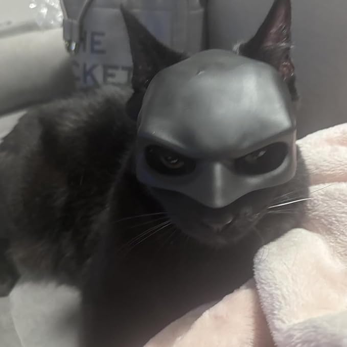 Cat Mask Cosplay, Cat Halloween Costumes, Funny Cat Costumes Accessories (Large)