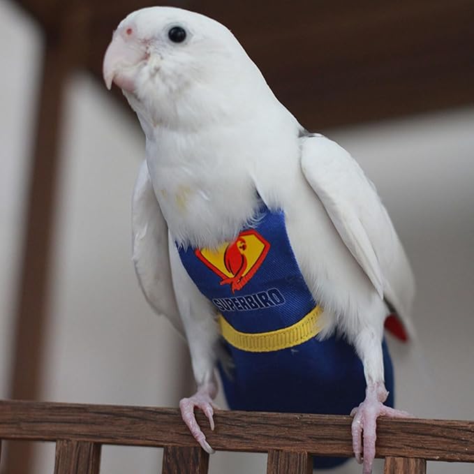 Parrot Flight Suit Diaper (Without Leash) - Reusable Bird Diaper for Budgies, Lovebirds, Cockatiels, and More - Fabric Bird Suit (Blue Superman-M)