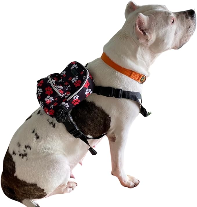Pawlook Dog Backpack Harness – Street Smart | Waterproof, Adjustable, Breathable – Leash Attachment D-Rings, Poop Bag Pocket – Small & Medium Dogs – 8 Styles Paws Up Medium