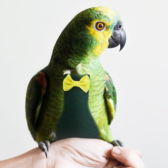 BESPORTBLE Parrot Diaper Clothes for Small Birds Adjustable Cotton Flying Suit with Open Tail Design for Cockatiels and Parrots - Washable Bird Apparel