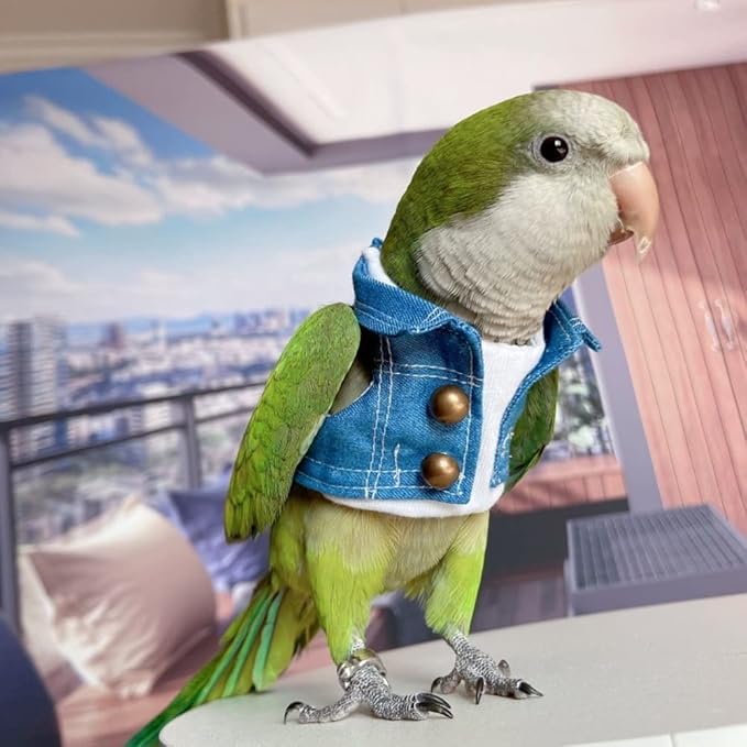 Bird Costume Bird Diaper Flight Suit Bird Jeans Fake Two Pieces Bird Clothes Cosplay Photo Prop for Parrots Lovebird Parakeet Cockatiel Small Animals Apparel (with Diaper,Green Quaker)