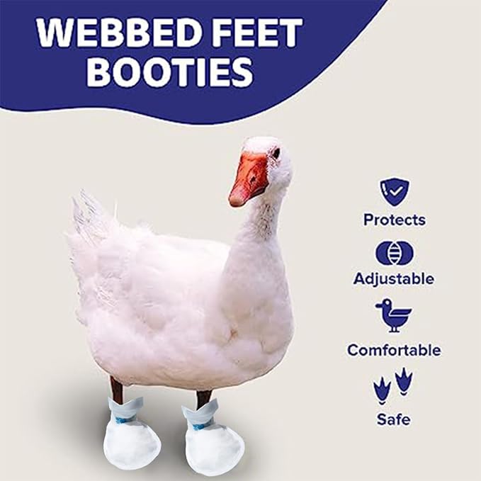 MANON ROSA Duck Shoes for Real Ducks Chickens 6-Pair Waterproof & Disposable Booties with Self-Adhesive Bandage for Waterfowl Wound Foot Care Bumblefoot (Dustproof Version,Large)