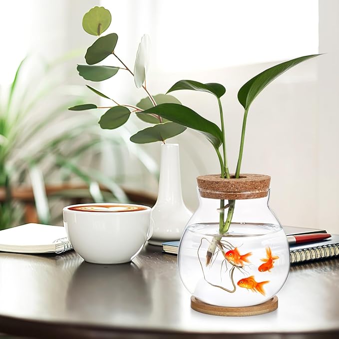 balacoo Betta Fish Bowl Glass Betta Tank with Cushion Hydroponic Plant Terrarium for Home Office Decoration Small Fish Tank for Aquatic Ecosystem