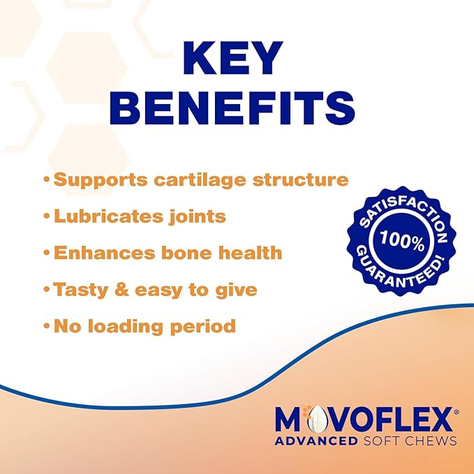MOVOFLEX Advanced Soft Chews Hip and Joint Support Supplement for Medium Dogs 120 Count by Virbac