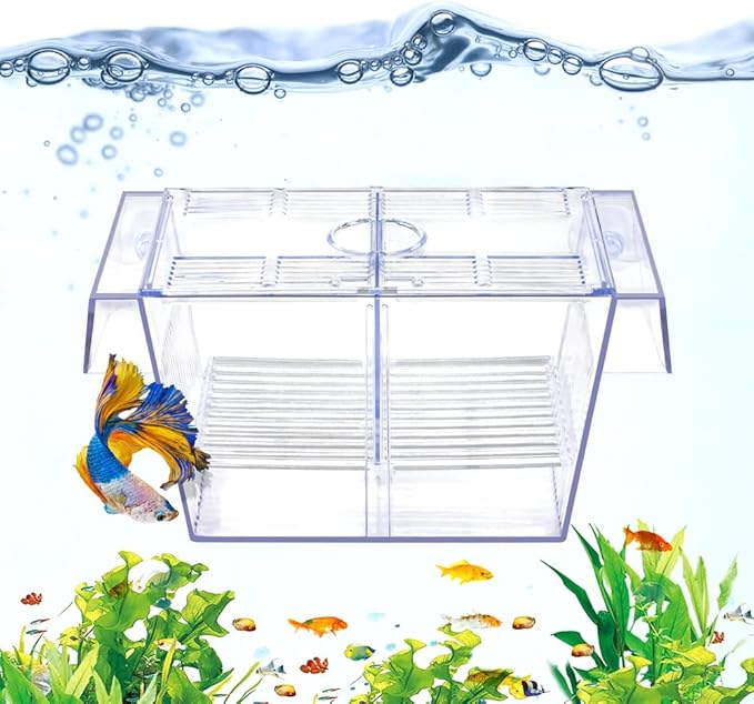 Fish Breeding Box Aquarium Holding Tank Transparent Fish Isolation Box Acclimation Hatchery Incubator Breeder for Betta Shrimp Clownfish Guppy
