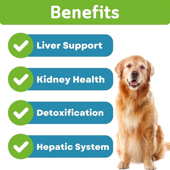 Milk Thistle for Dogs - Max Strength Liver Support Chews, Wild Alaskan Salmon Oil & Curcumin - Kidney Detox & Hepatic Support - Natural Liver Support Chews Made with Real Chicken, Choline & NAC